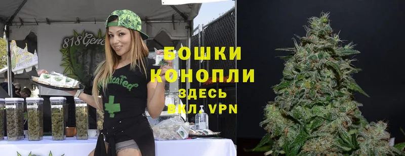 Конопля White Widow  Белореченск 